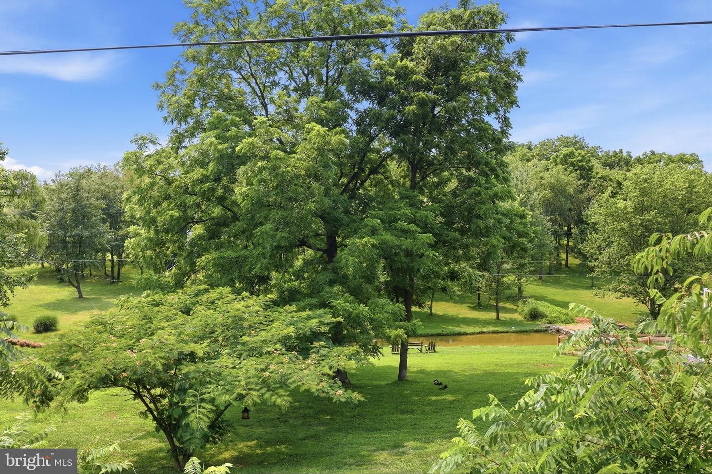 11523 Handboard Road photo 37