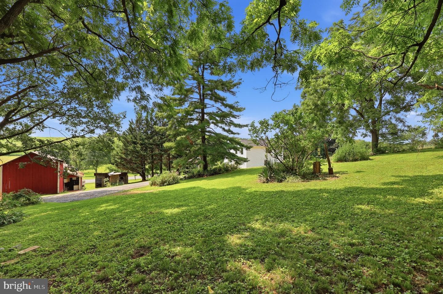 11523 Handboard Road photo 49