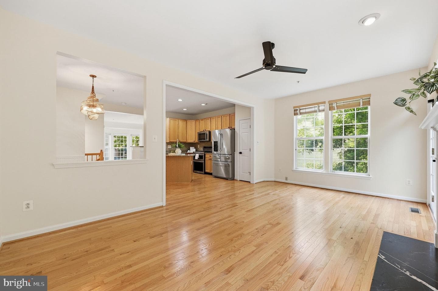 3647 Singleton Terrace photo 20