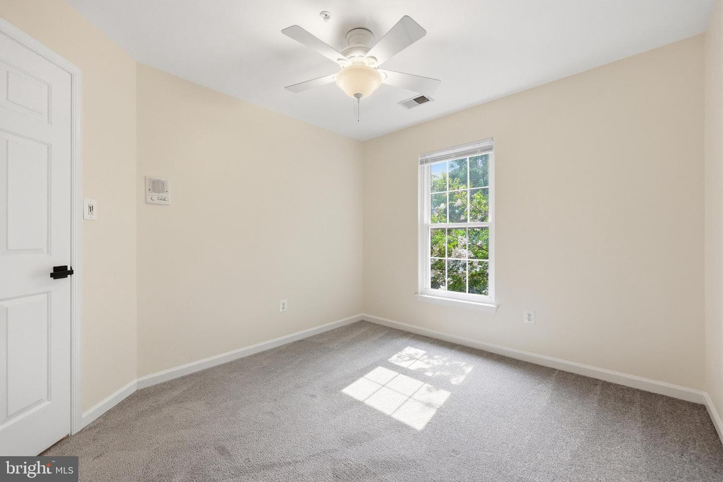 3647 Singleton Terrace photo 28