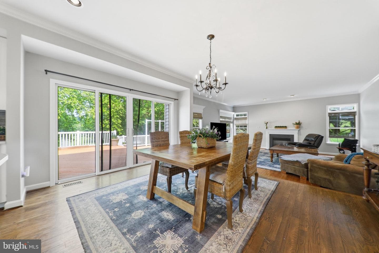 3455 Emys Place photo 18