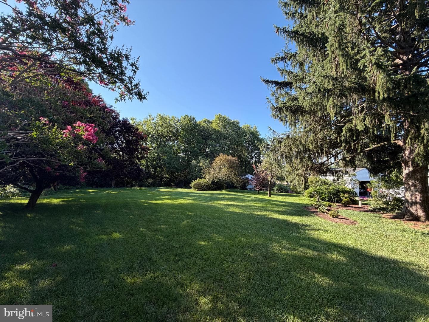 200 Prospect Street photo 11