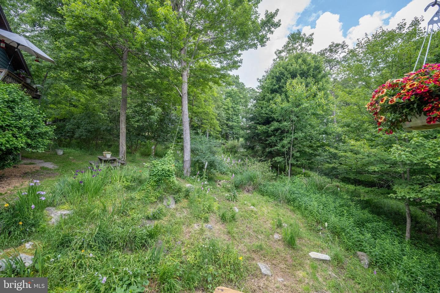 188 Highline Drive photo 108