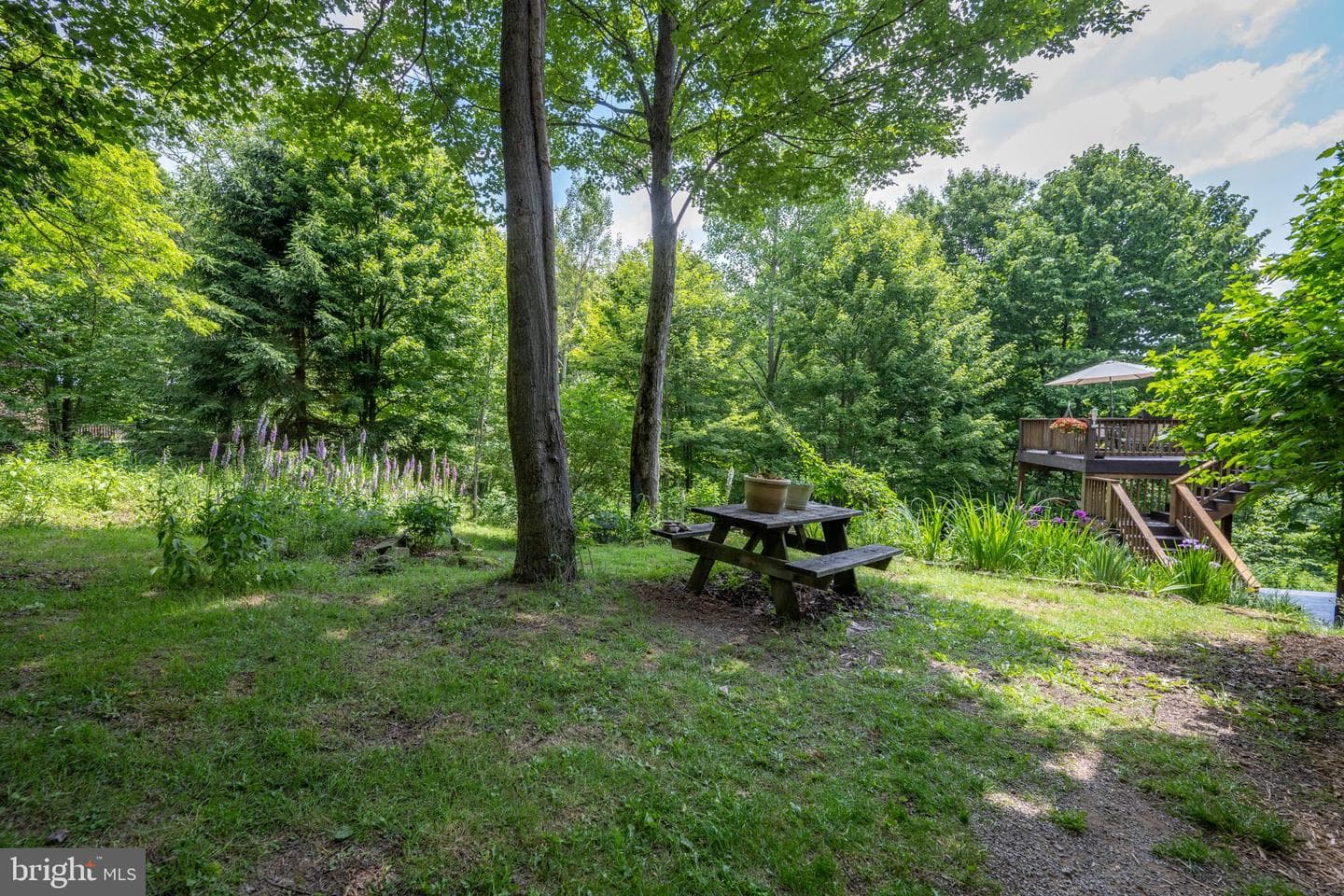 188 Highline Drive photo 97