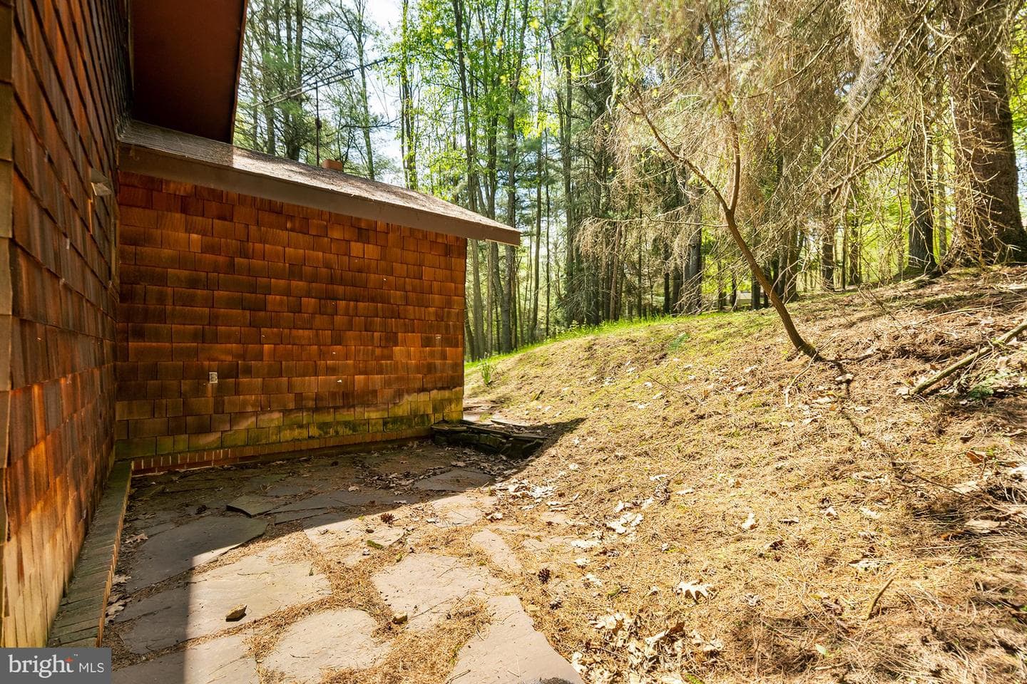 66 Breezy Terrace photo 38