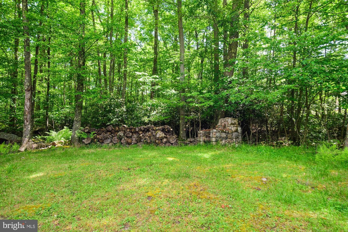 931 Black Oak Drive photo 8
