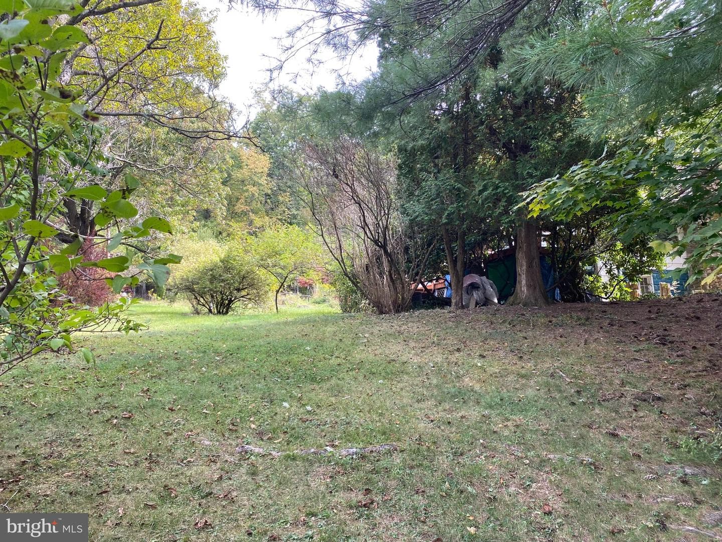 4367 Dry Run Road photo 2