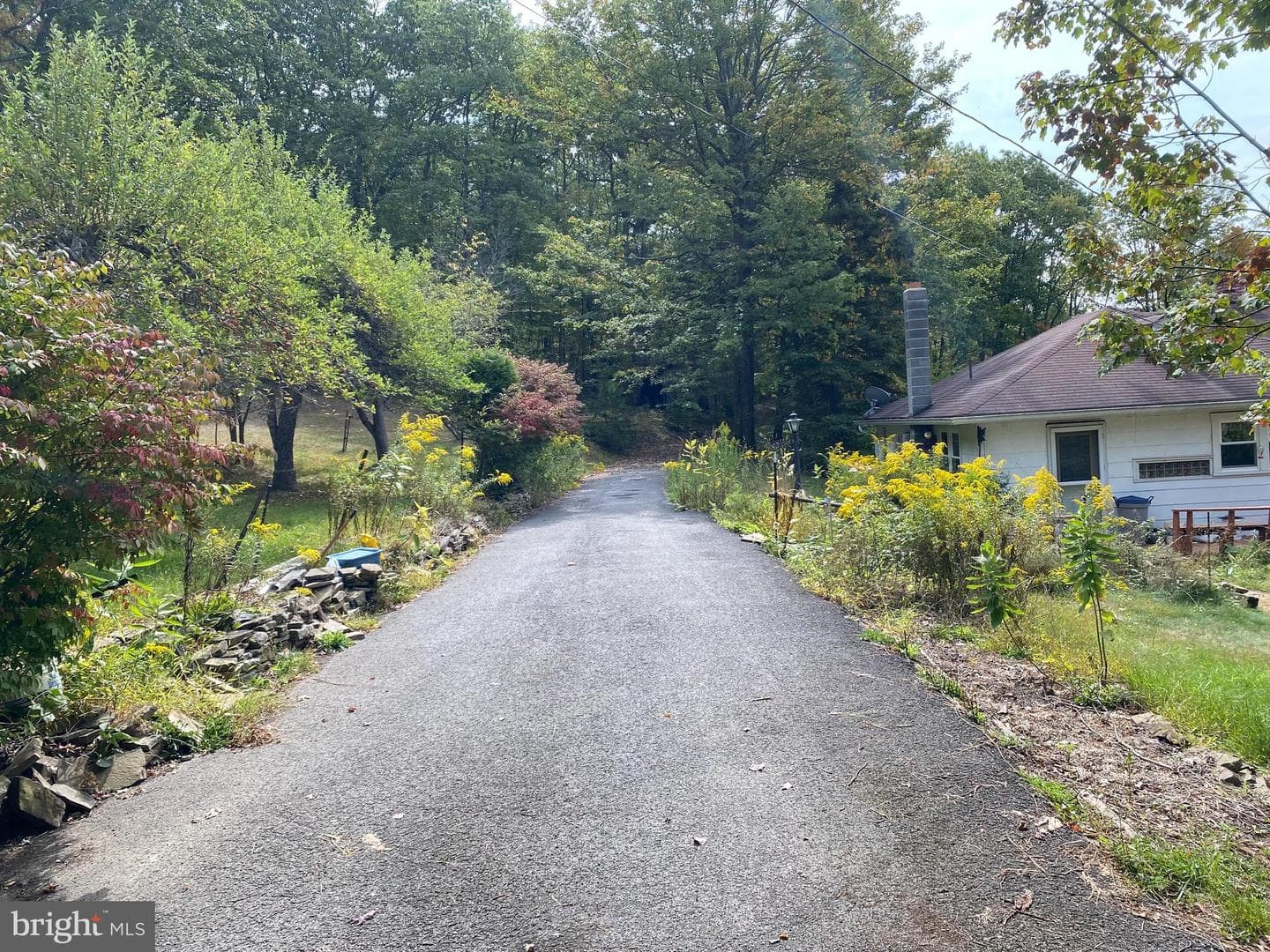 4367 Dry Run Road photo 4