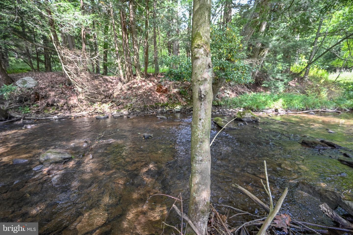 2527 Pigs Ear Road photo 10