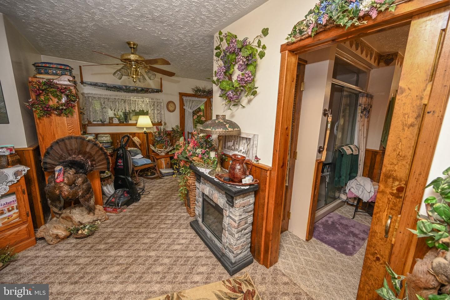 2527 Pigs Ear Road photo 22
