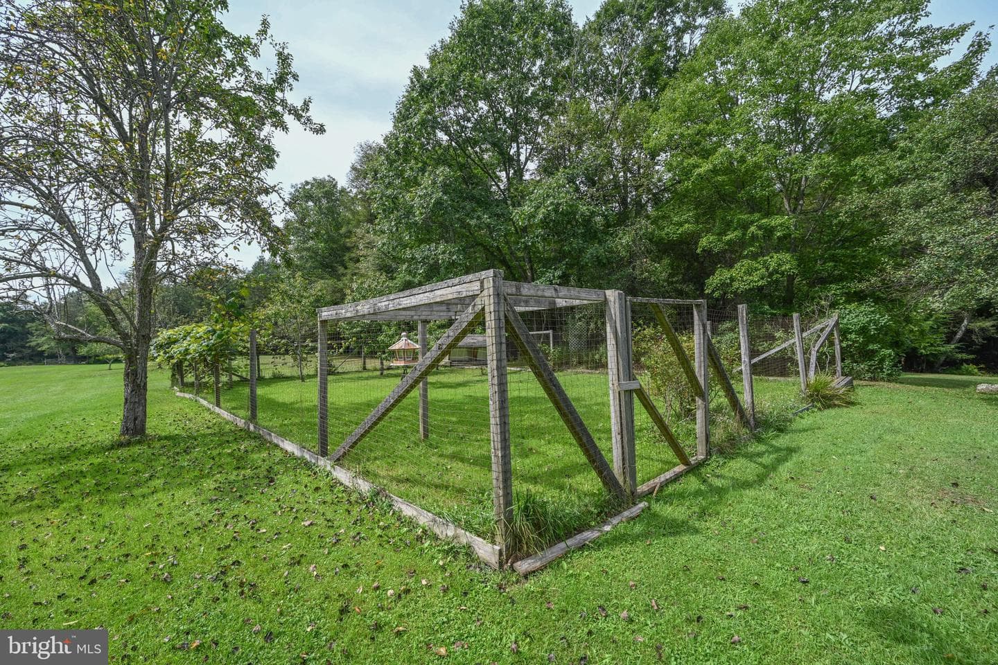 2527 Pigs Ear Road photo 42