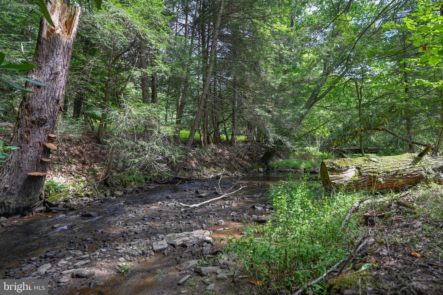 2527 Pigs Ear Road photo 58