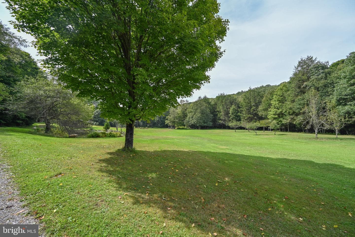 2527 Pigs Ear Road photo 74