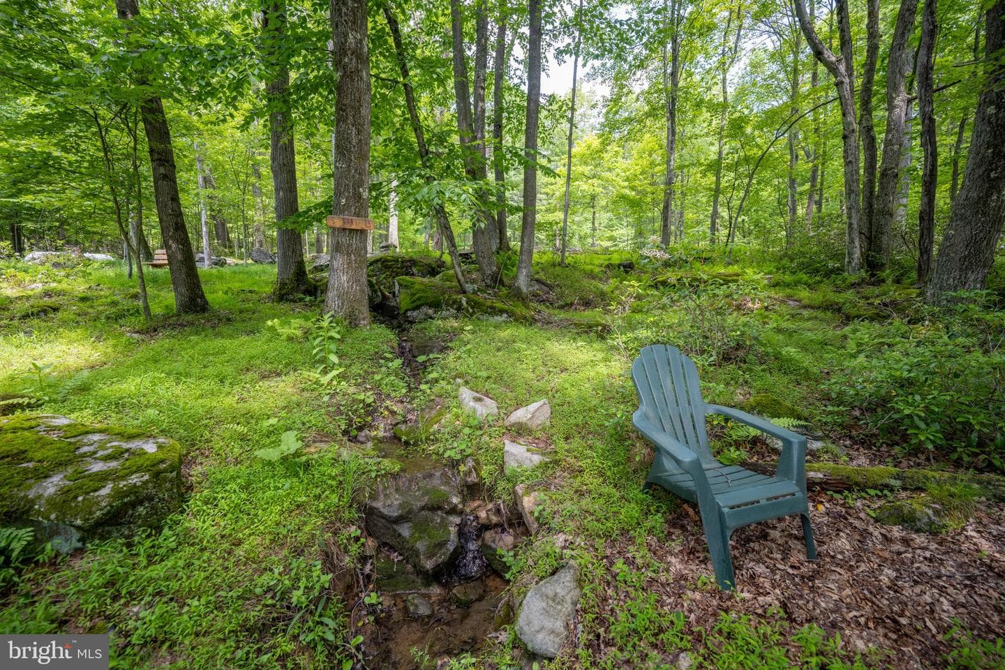 328 Stool Rock Road photo 103