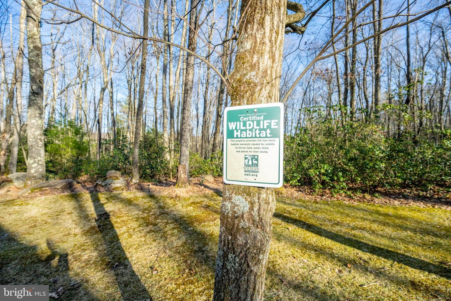 328 Stool Rock Road photo 25