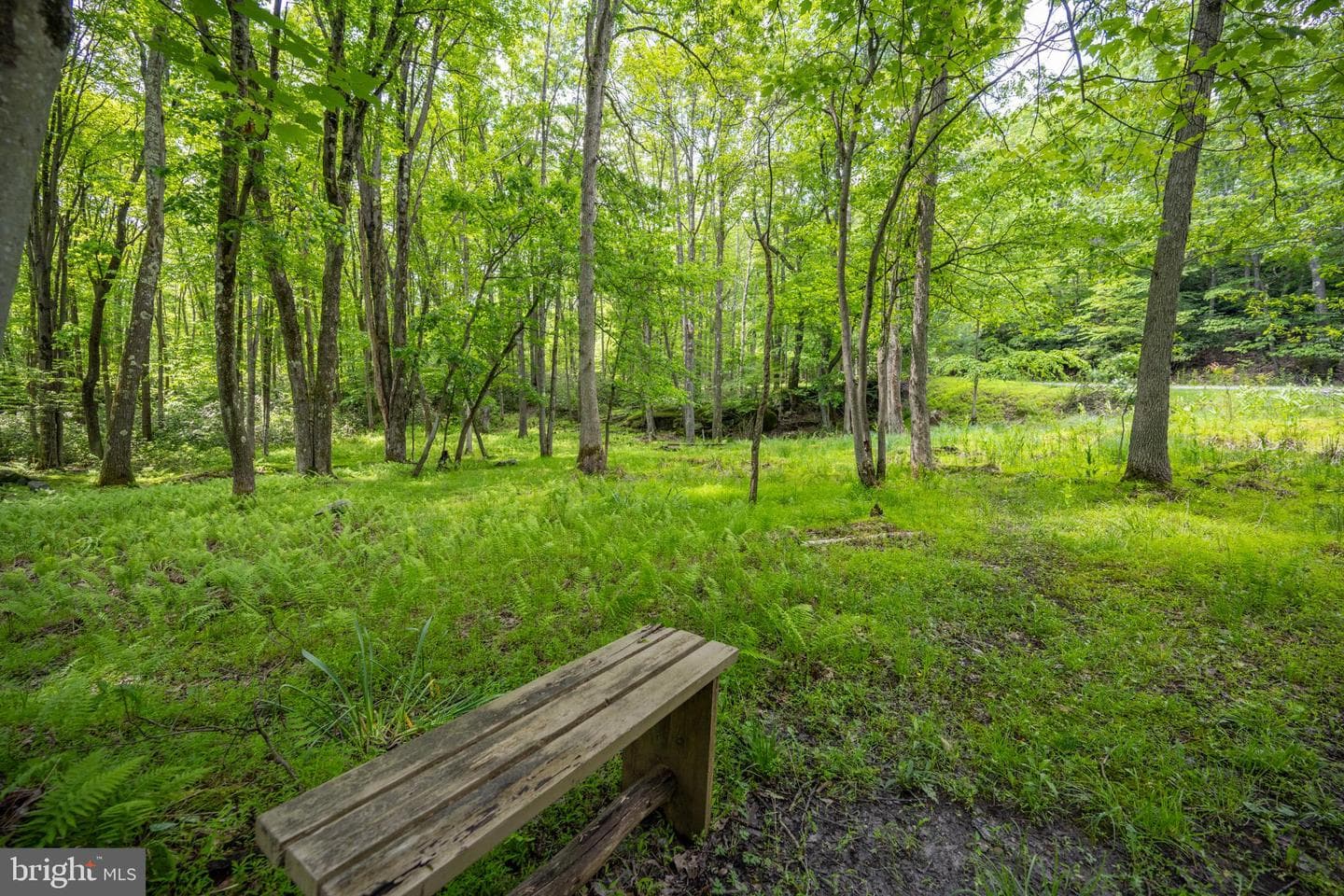 328 Stool Rock Road photo 84