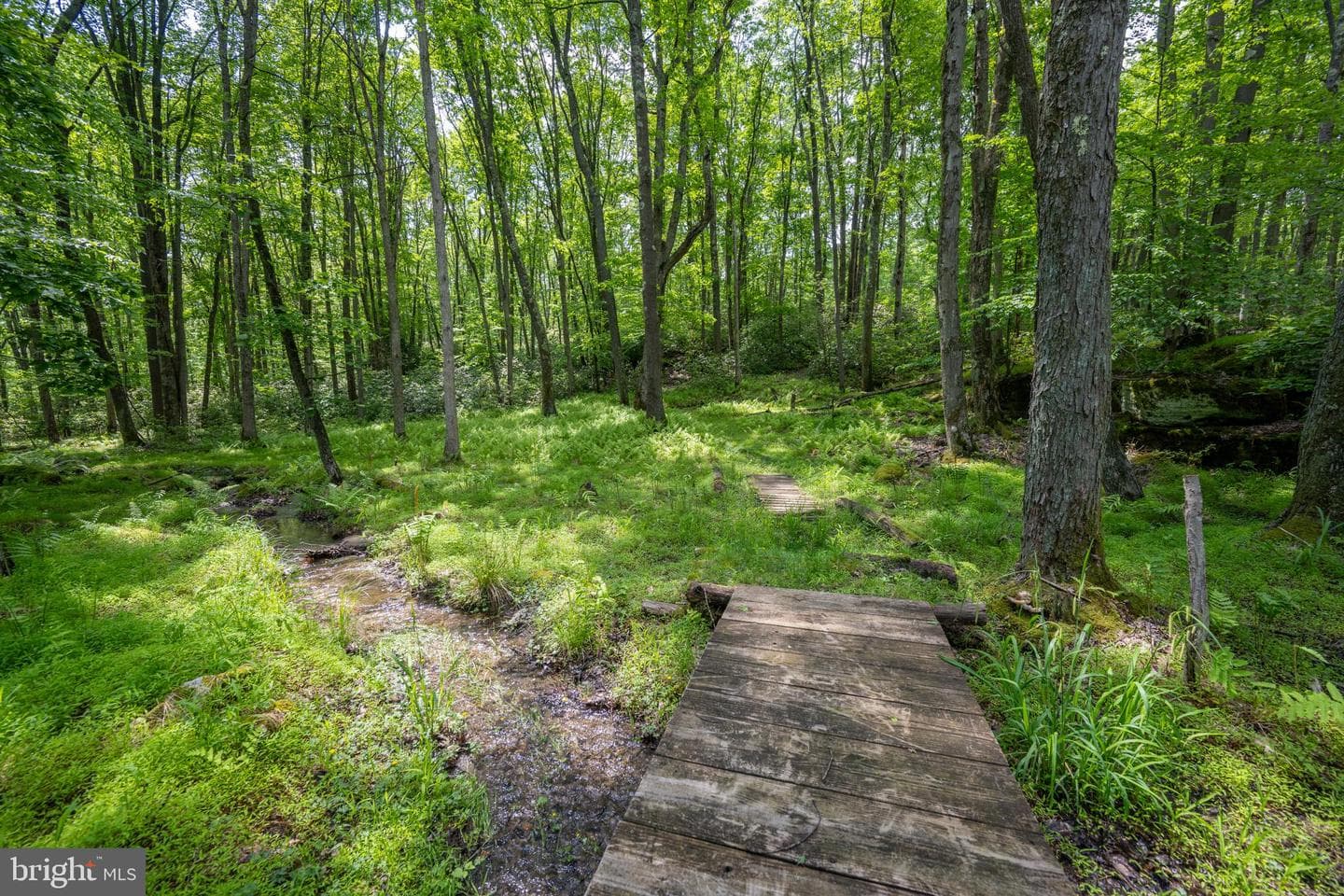 328 Stool Rock Road photo 89