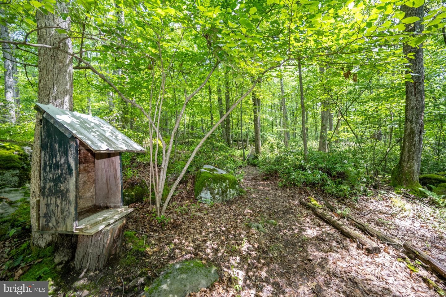 328 Stool Rock Road photo 98