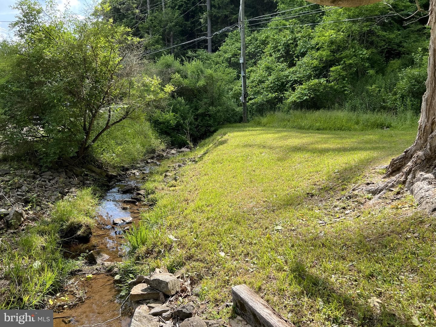 193 Gravelly Run Road photo 8