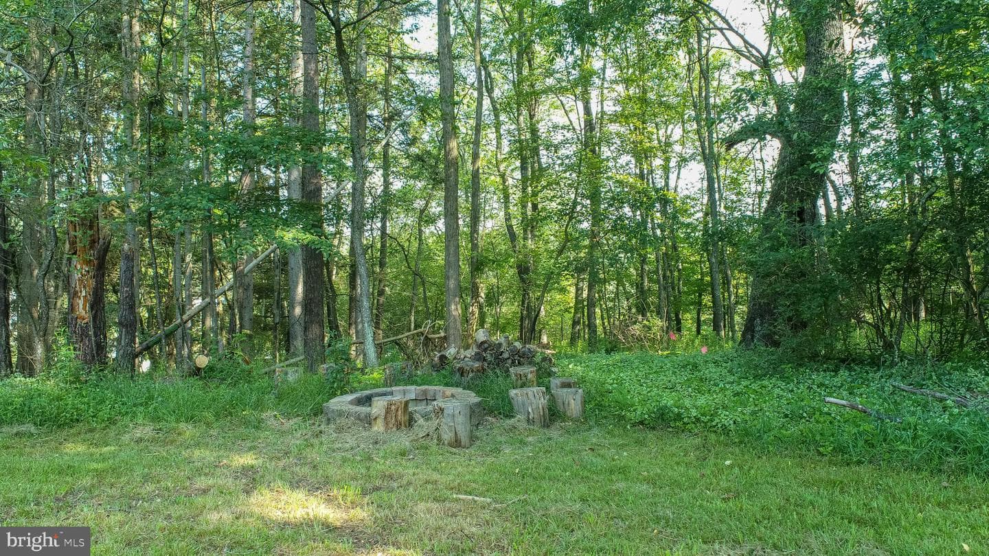 163 Crestview Drive photo 46