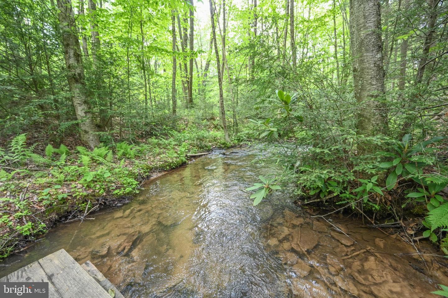 530 Hemlock Road photo 18