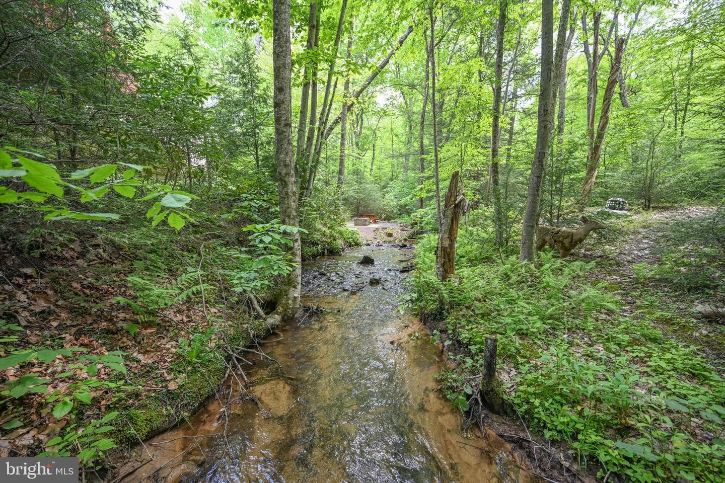 530 Hemlock Road photo 70