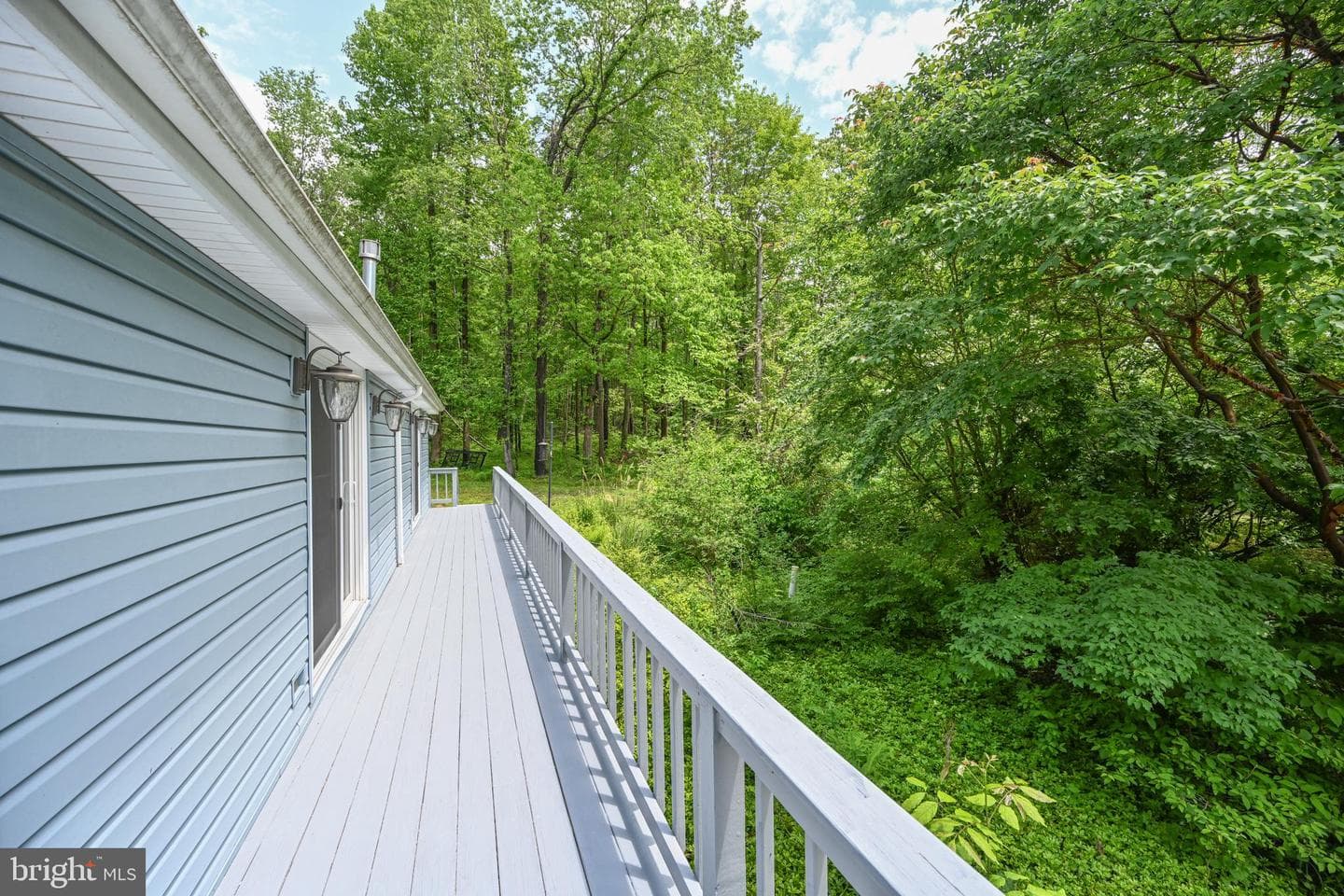 590 Bearfoot photo 53