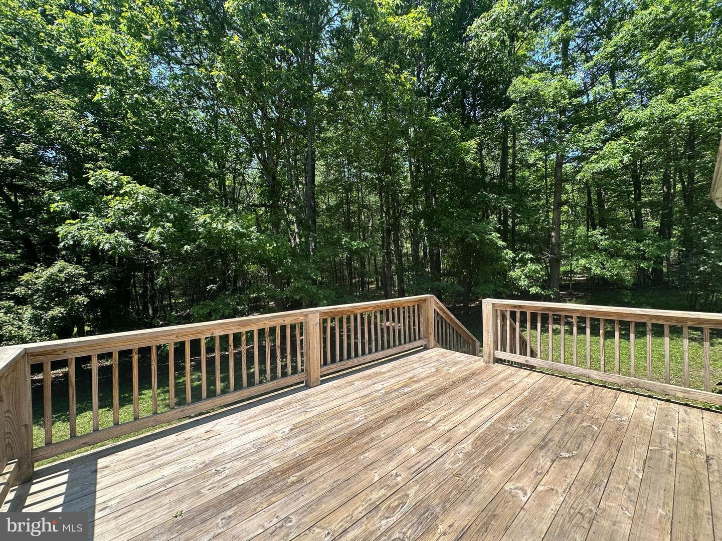 1681 Shady Dell Road photo 11