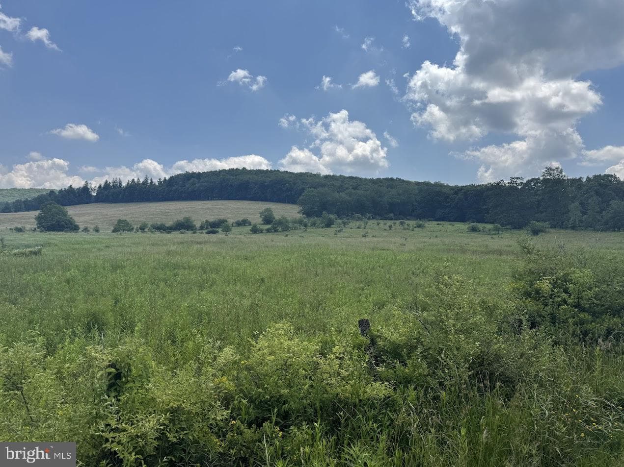 1570 Garrett Road photo 22