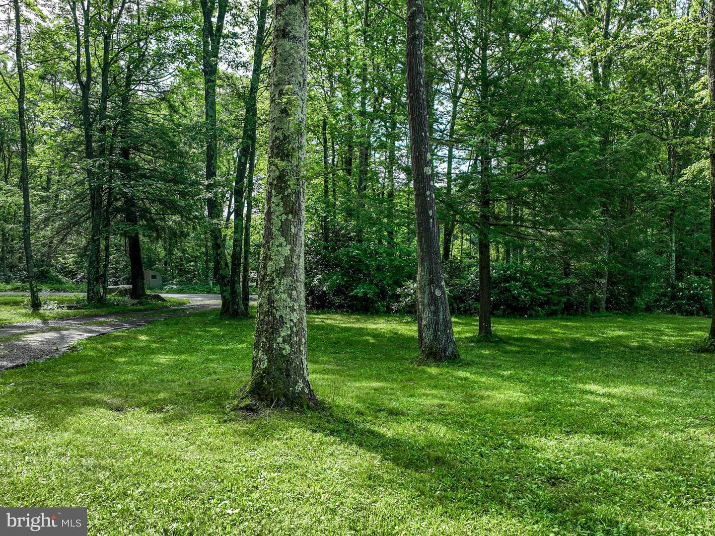 425 Amish Road photo 42