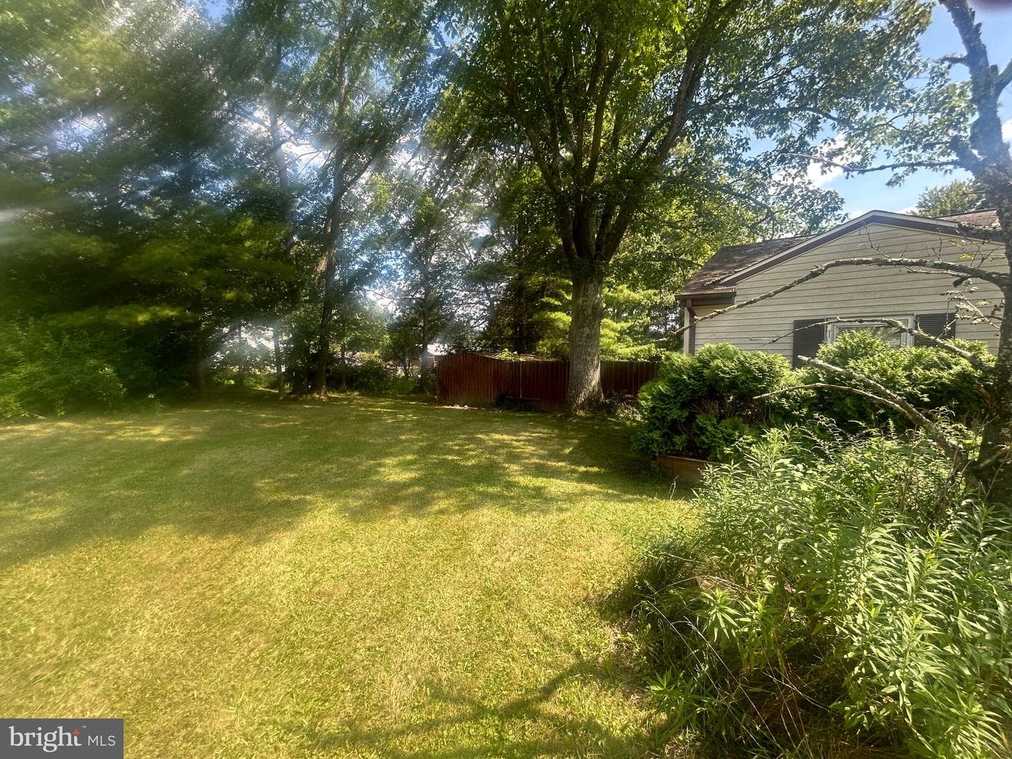 1101 Wheeling Ave photo 4