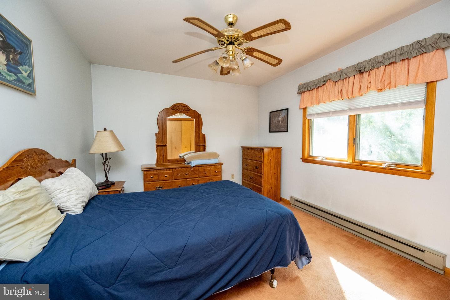 72 Cliff Drive photo 22