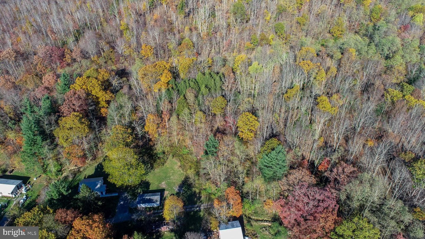 63 Wallman Rd photo 56