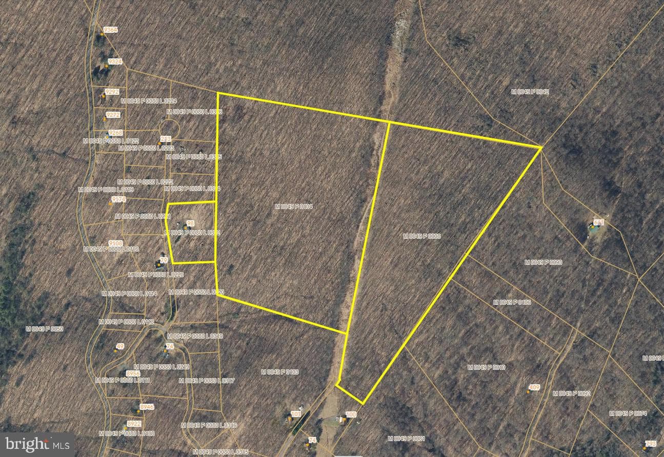 98 Bear Run Road photo 30
