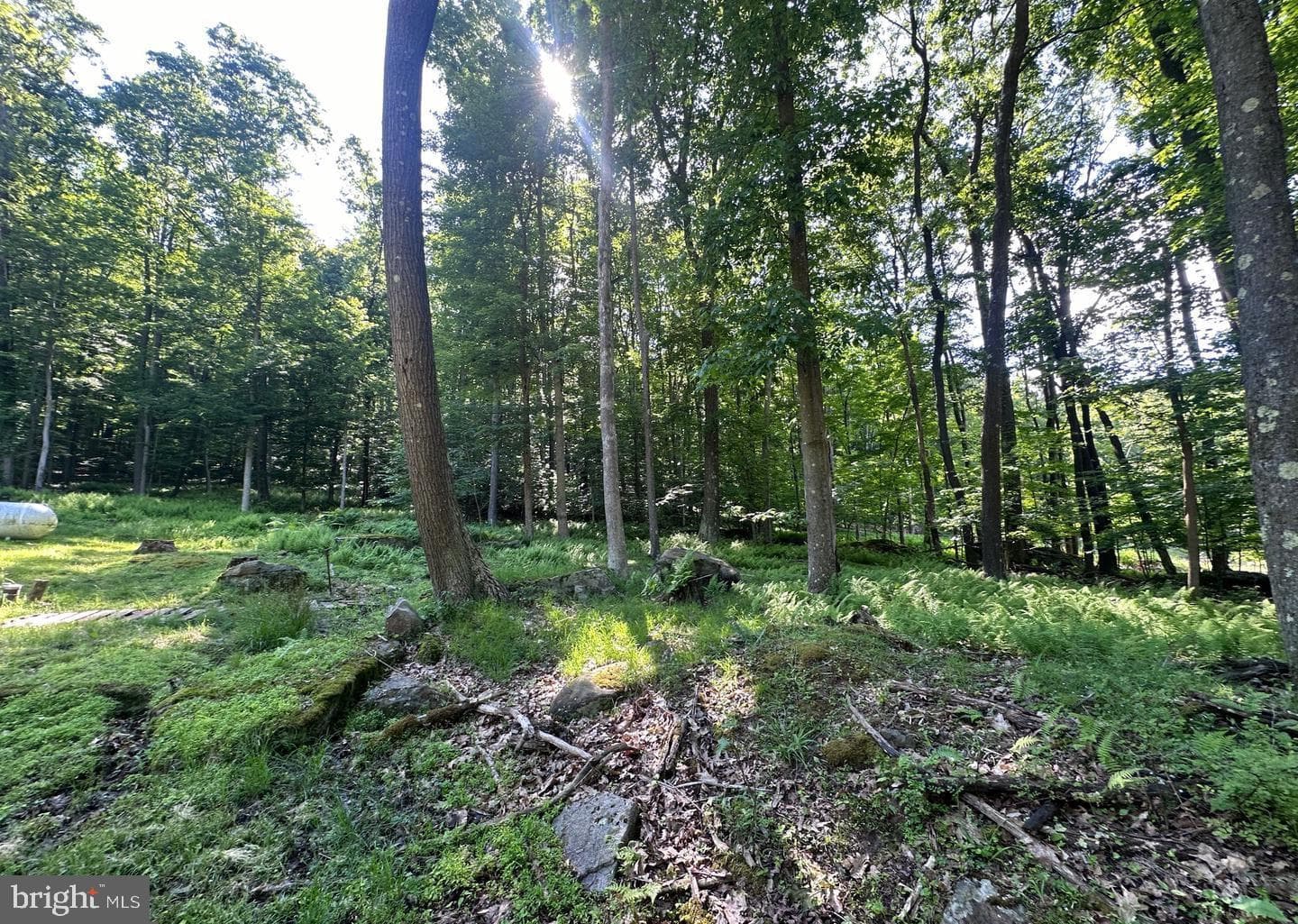 98 Bear Run Road photo 5