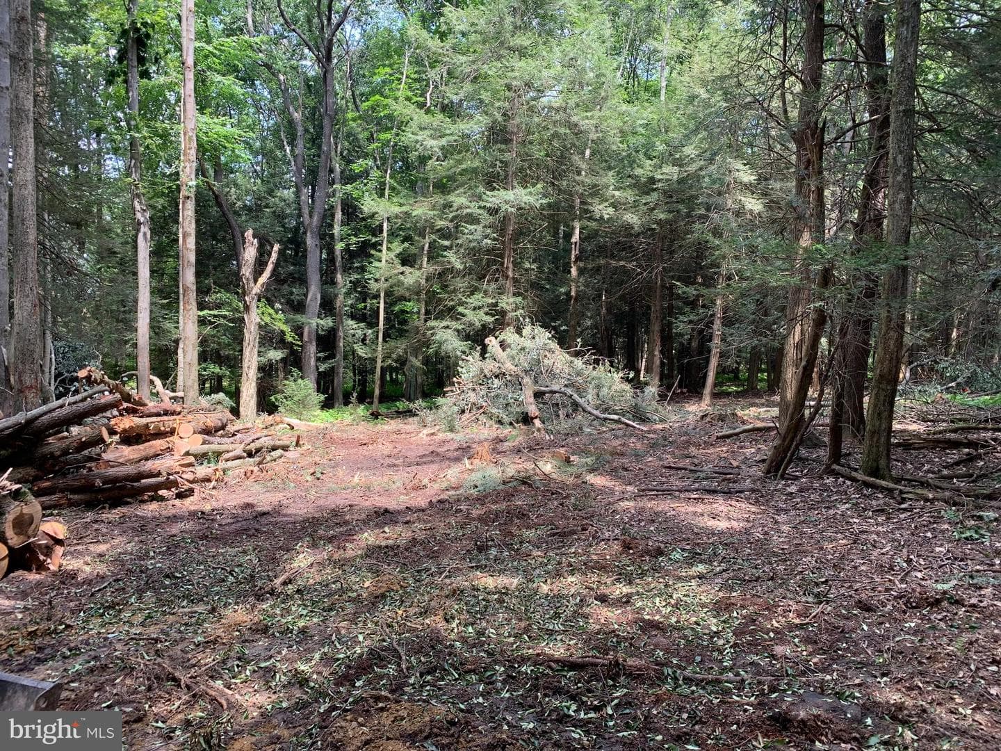 62 Wild Turkey Court photo 22