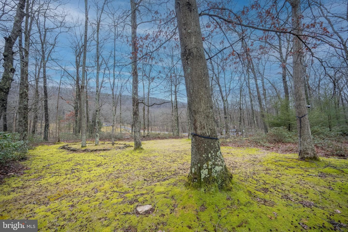 526 Gleanings Drive photo 61