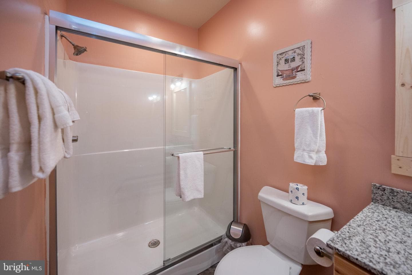 44 Ridgeline Trail photo 65