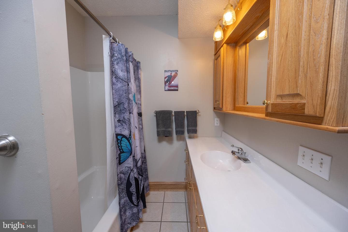 723 Pinnacle Drive photo 66
