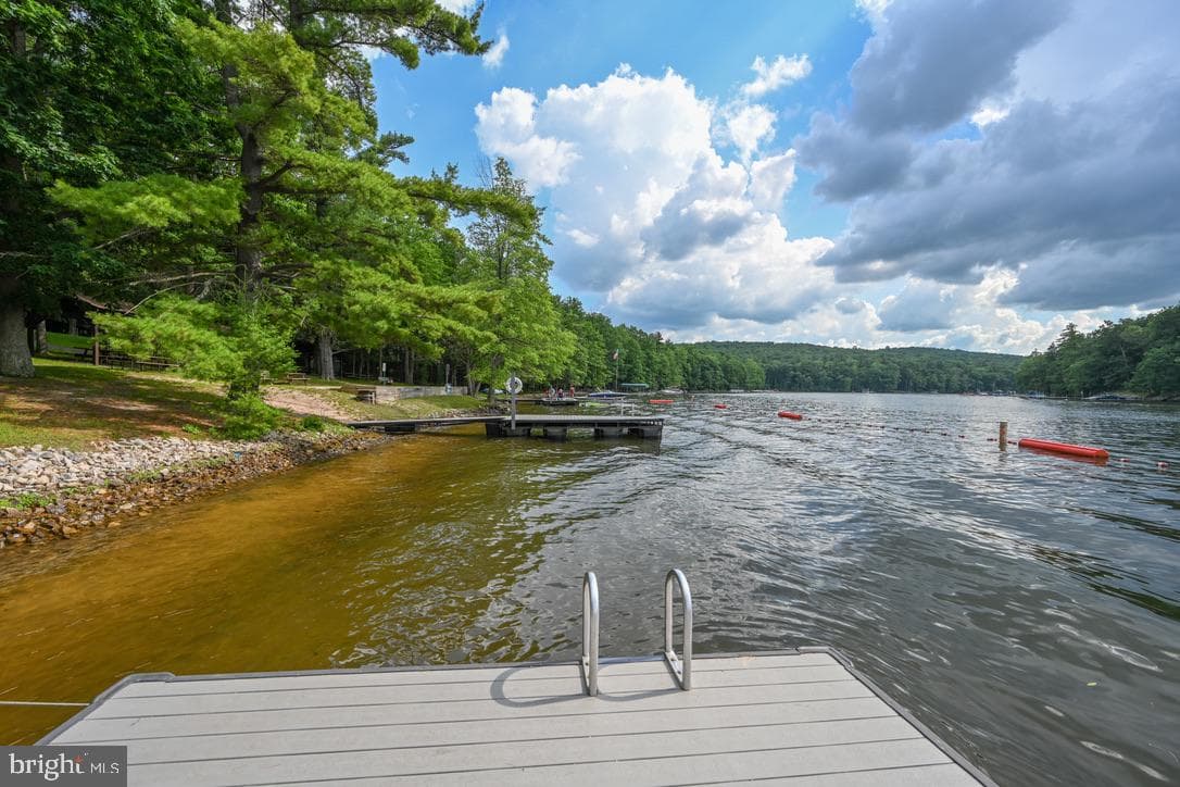 102 Piney Point Drive photo 44