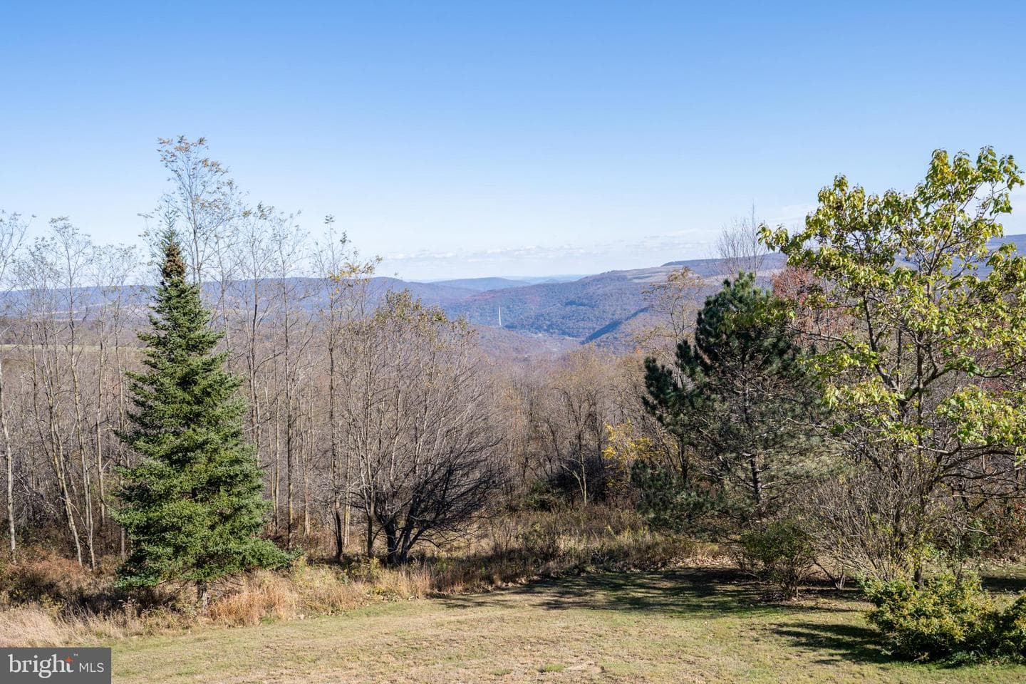 3836 Chestnut Grove Rd photo 28