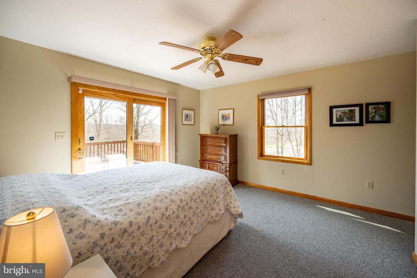 167 Sears Lane photo 17