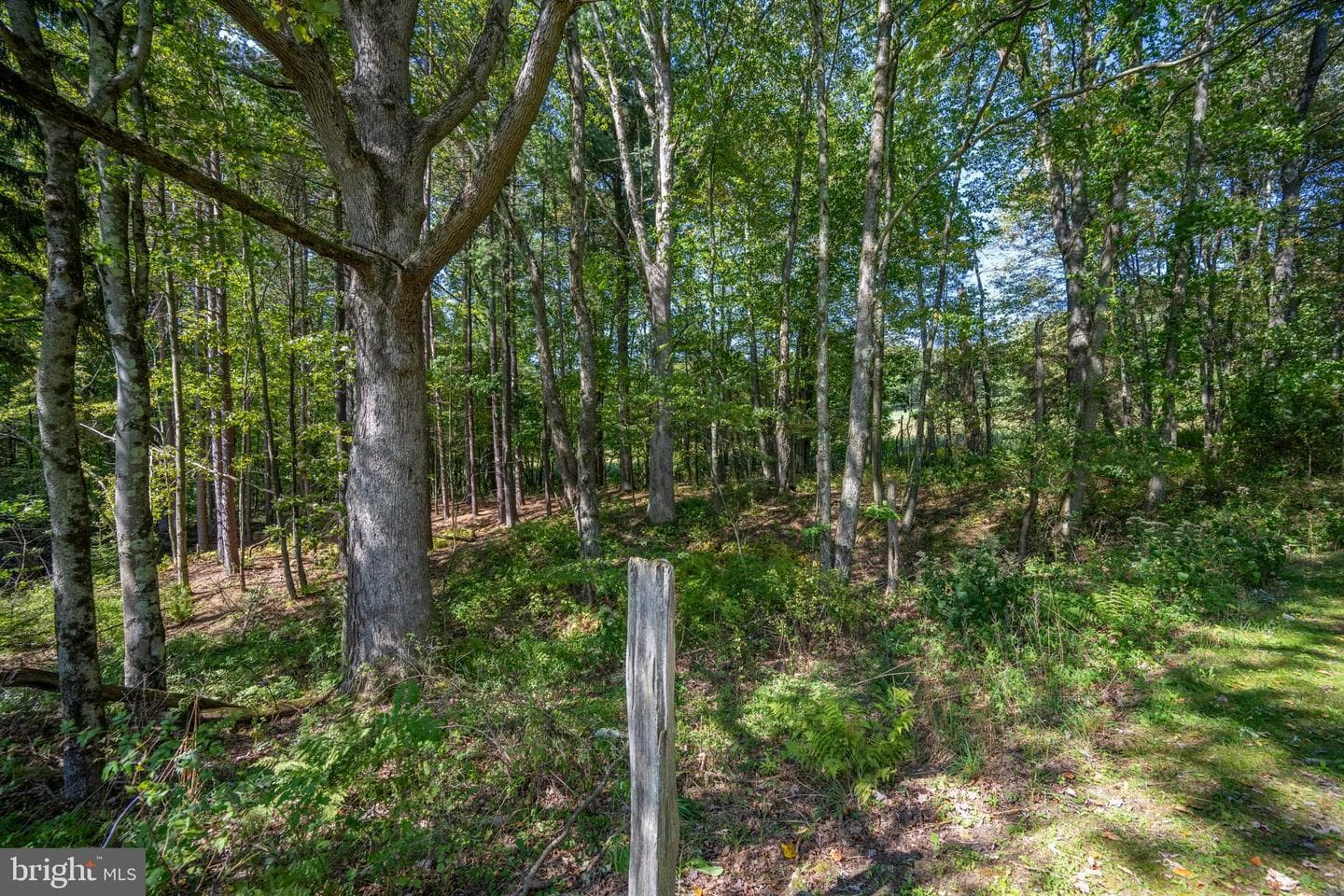 3348 & 3360 Cove Road photo 20