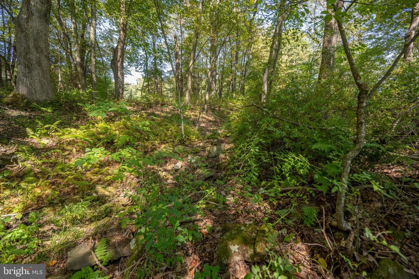 3348 & 3360 Cove Road photo 23