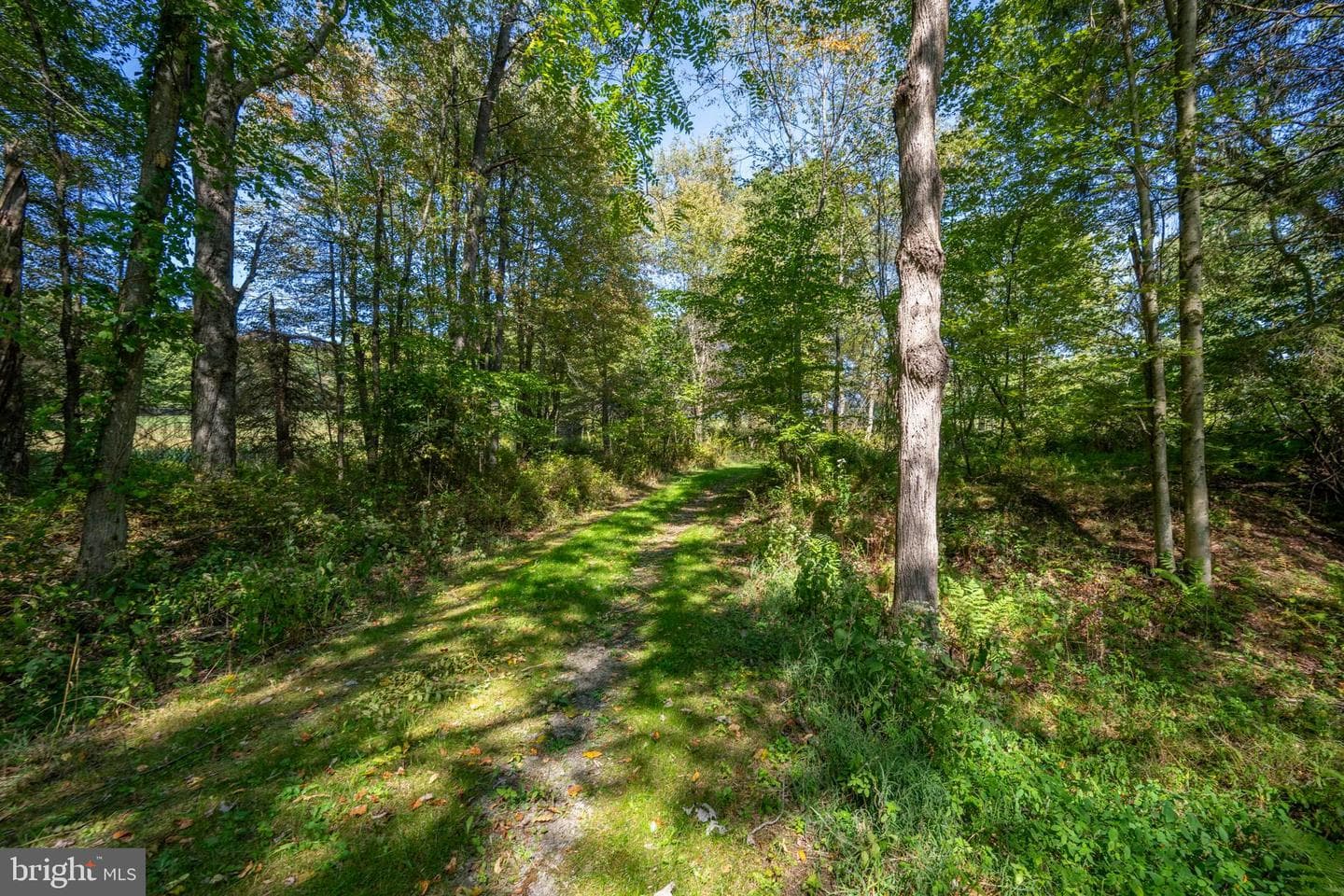 3348 & 3360 Cove Road photo 25
