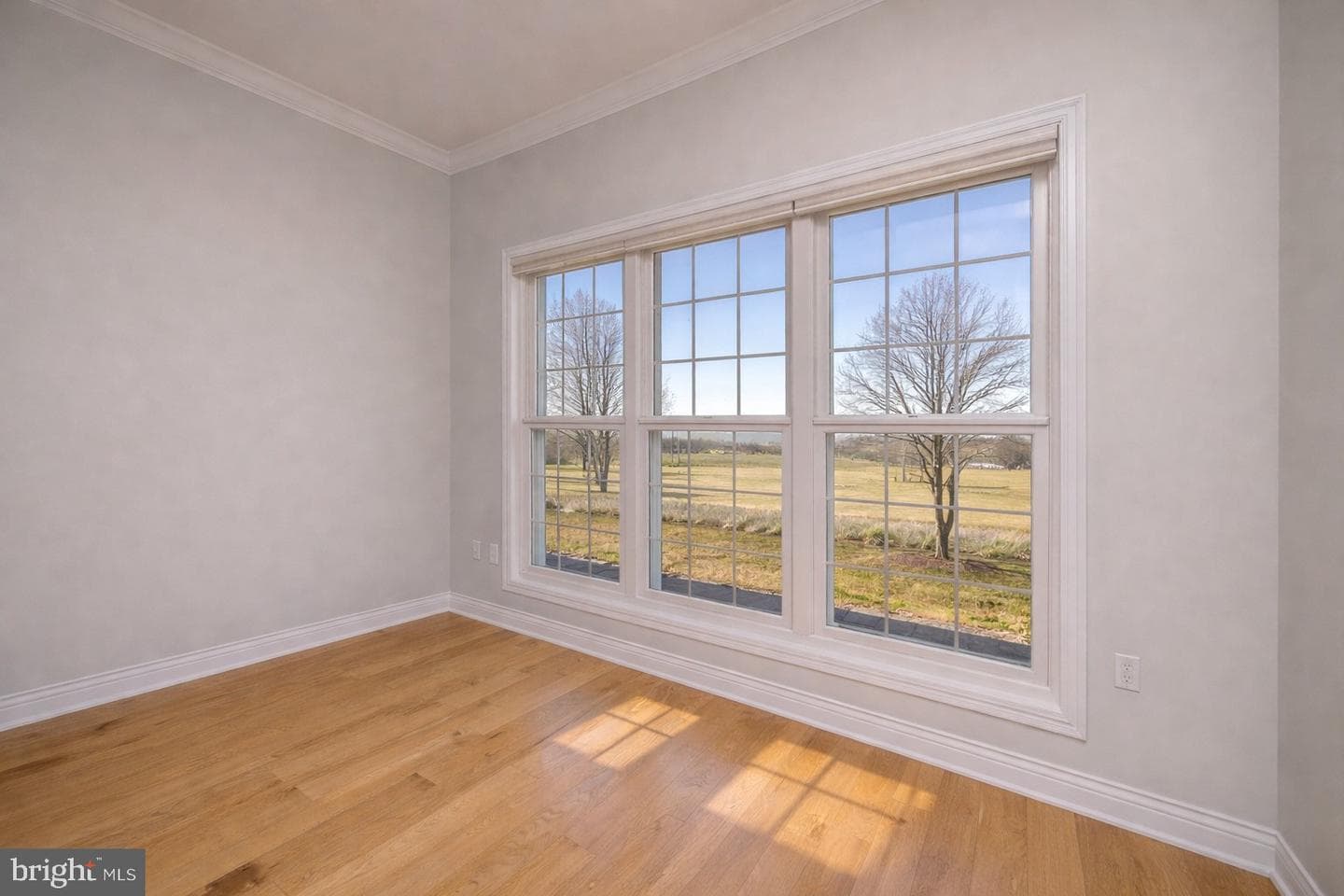 113 Jubb Meadows Lane photo 24