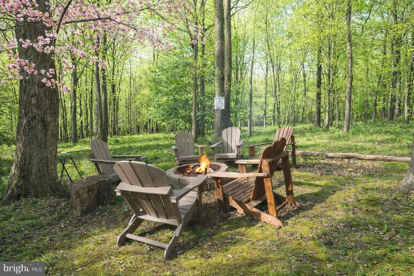 61 Frederick Circle photo 44