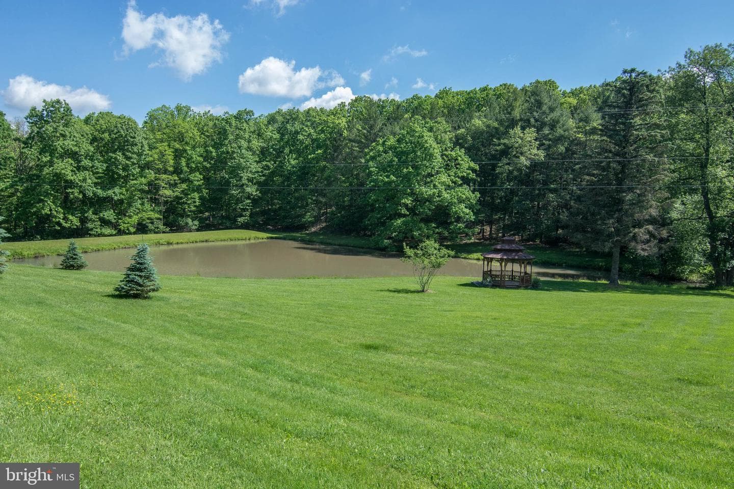 61 Frederick Circle photo 70
