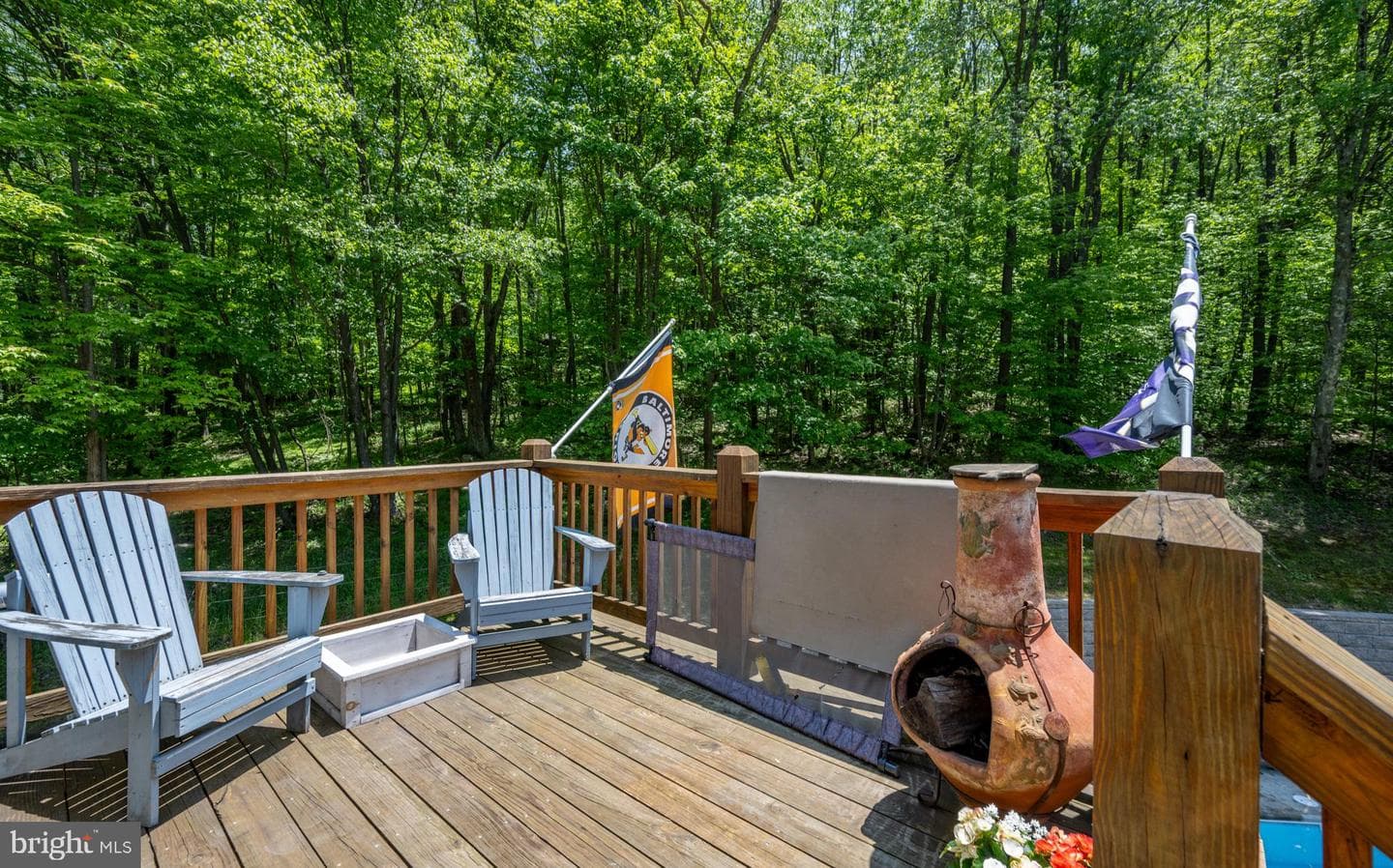2250 Hoyes Run Road photo 69