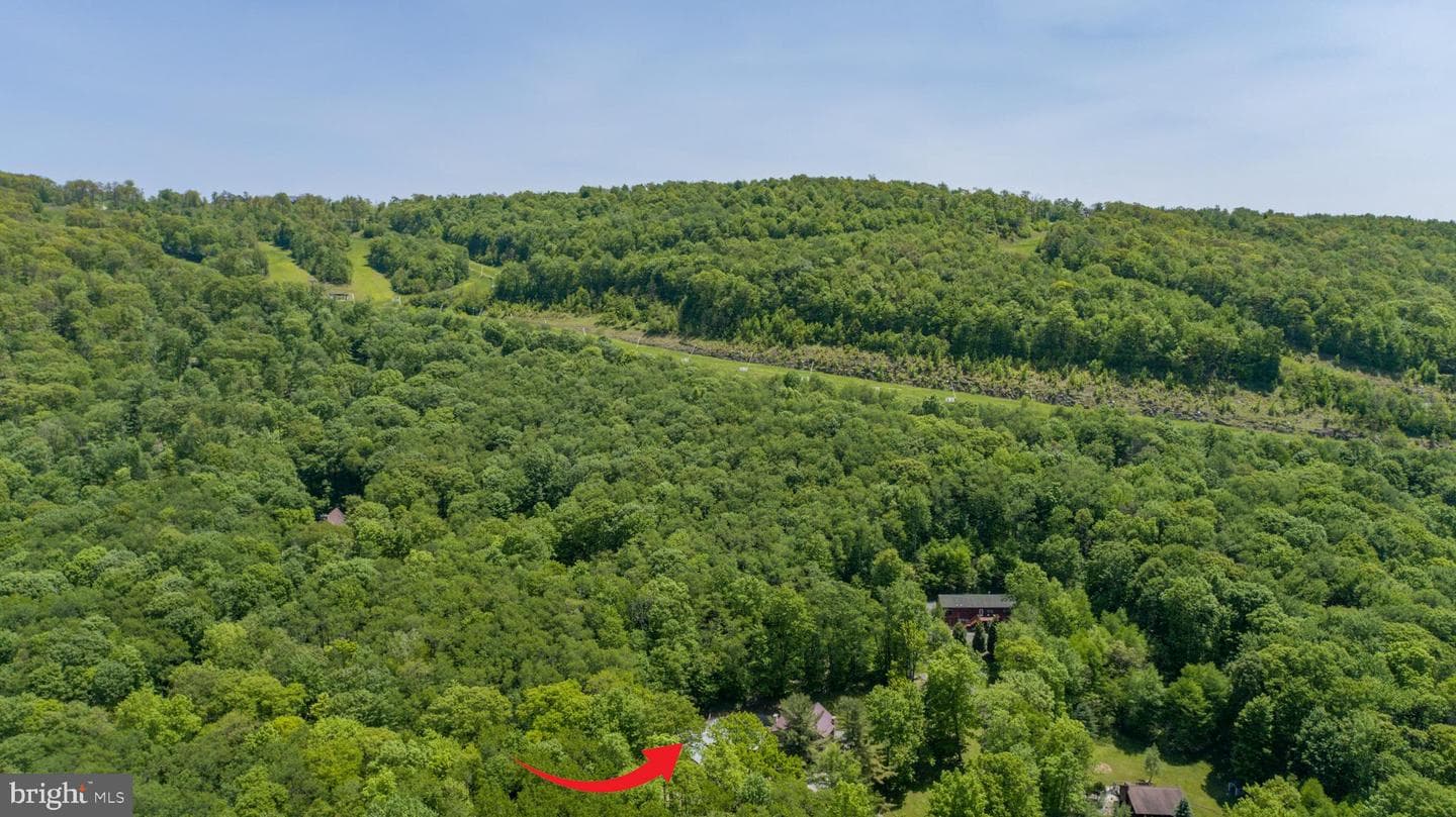 2250 Hoyes Run Road photo 93